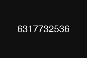 6317732536