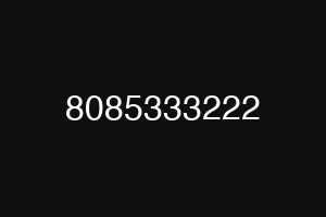 8085333222