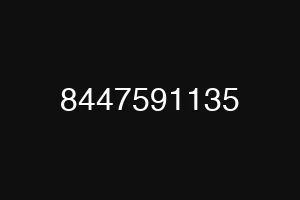 8447591135