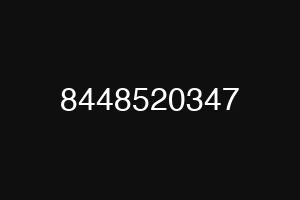8448520347