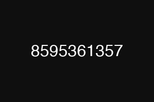 8595361357