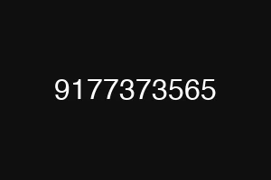 9177373565