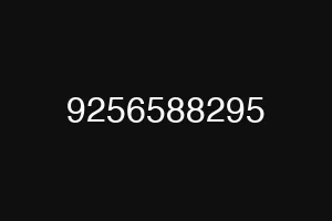 9256588295