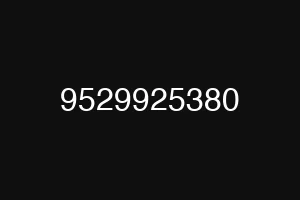 9529925380