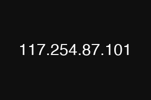 117.254.87.101