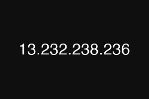 13.232.238.236