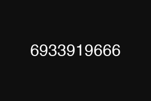 6933919666