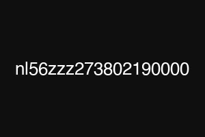 nl56zzz273802190000