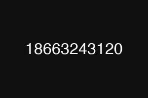 18663243120