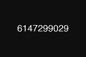 6147299029