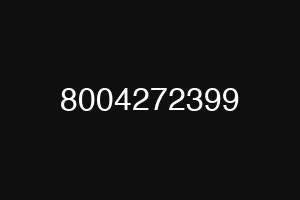 8004272399