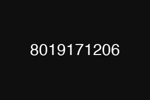 8019171206
