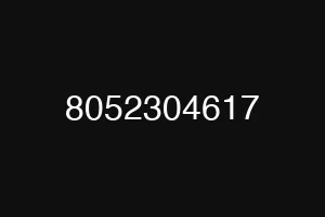 8052304617