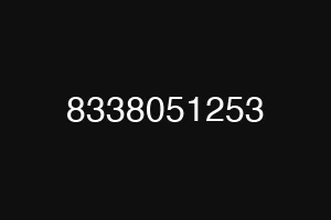 8338051253