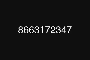 8663172347