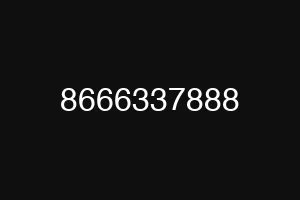 8666337888
