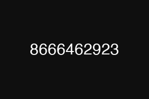8666462923