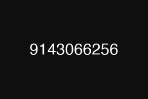 9143066256