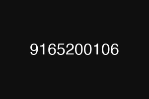 9165200106