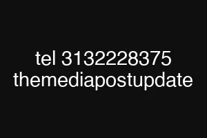 tel 3132228375 themediapostupdate